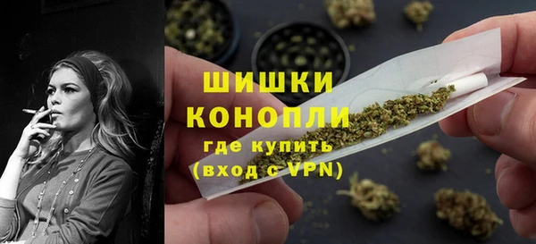 стаф Балахна