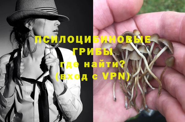 гидропоника Балабаново