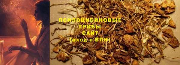 гидропоника Балабаново