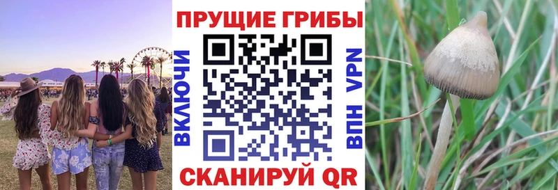 Псилоцибиновые грибы ЛСД Белинский